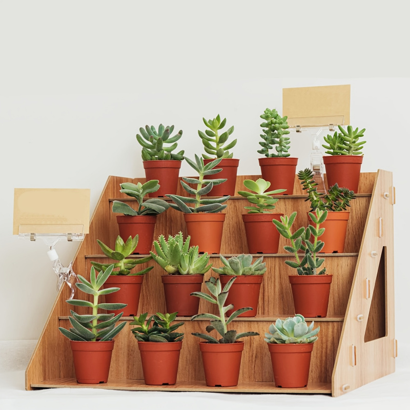 Pop Display Shelf - Expositor de madera, stand para ferias
